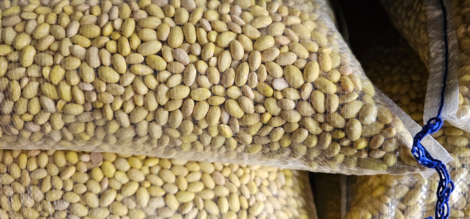 微信图片_20240412162059