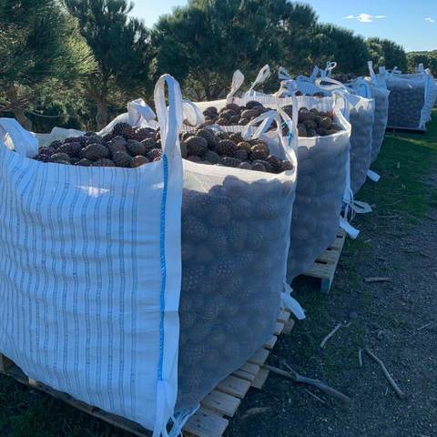 Saco Transpirable Para Leña Saco Jumbo Transpirable Para Piñones Saco Grande De Malla PP Para Embalar Leña