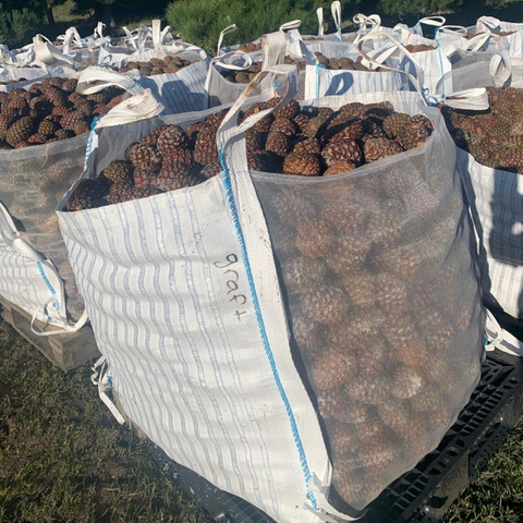 Maxisaco para embalar leña de 1500 kg 1 tonelada de maxisacos de malla Maxisacos grandes de malla ventilada de tela