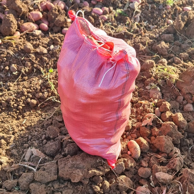 Bolsas Tejidas Rojas Para Empacar Papas